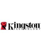 Kingston Techonolgy
